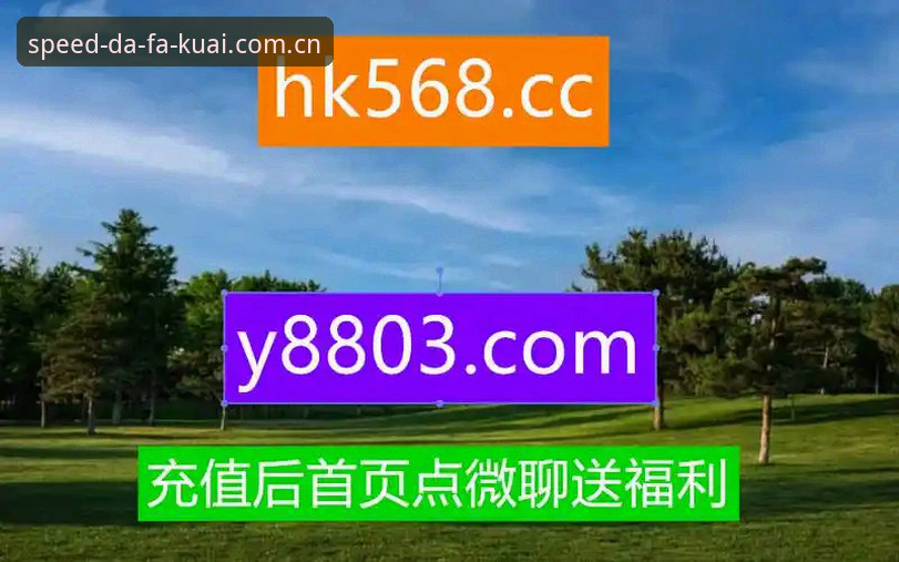 判断大发快三平台2026新版好坏的5个实用标准